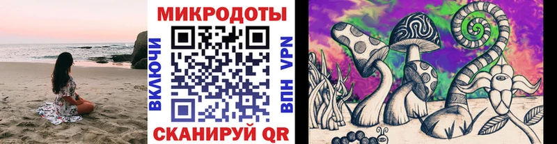 Галлюциногенные грибы Psilocybe blacksprut ТОР Струнино